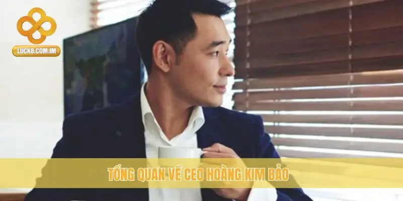 Tổng quan về CEO Hoàng Kim Bảo