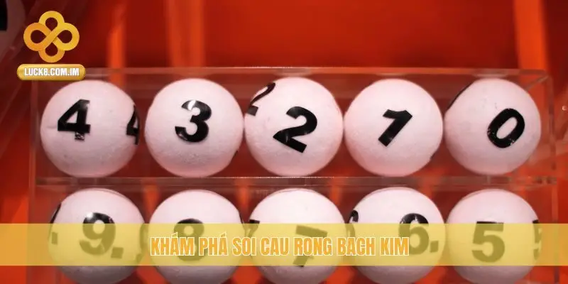 Khám phá Soi Cầu Rồng Bạch Kim