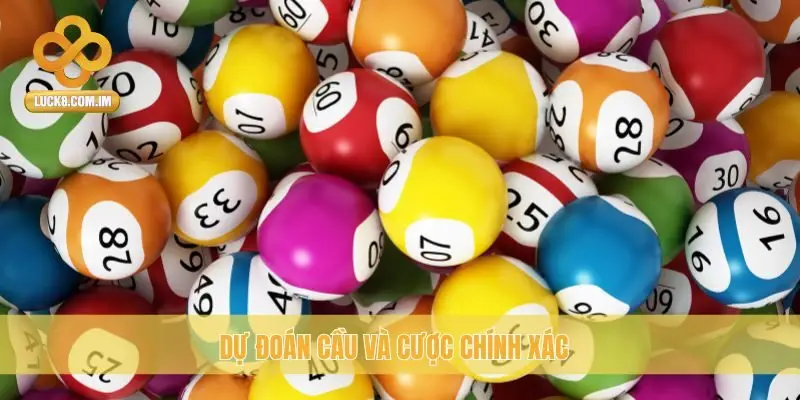 Dự đoán cầu và cược chính xác